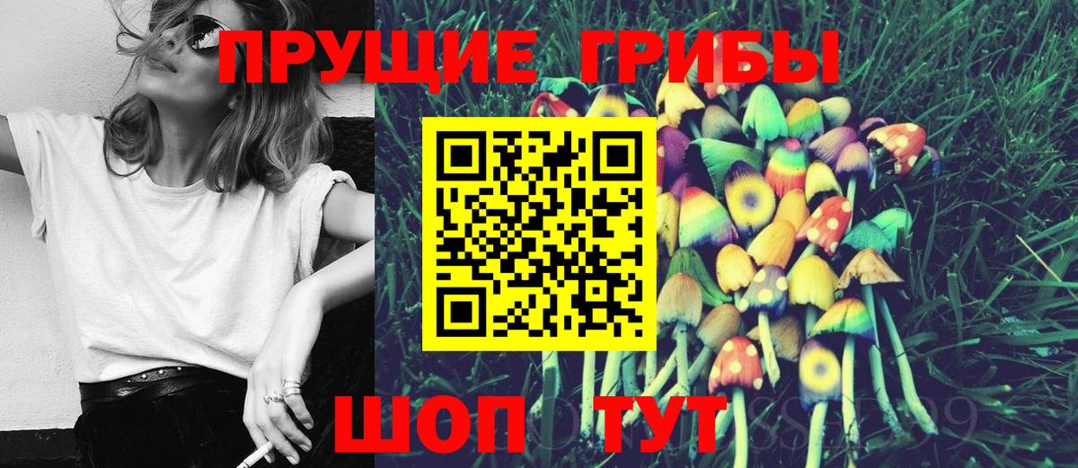 Иркутск  Галлюциногенные грибы мухоморы  Вход с VPN  Псилоцибиновые грибы прущие грибы 